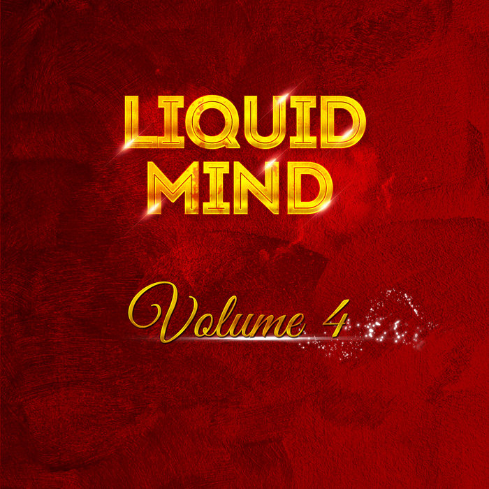 VARIOUS - Liquid Mind Vol 4
