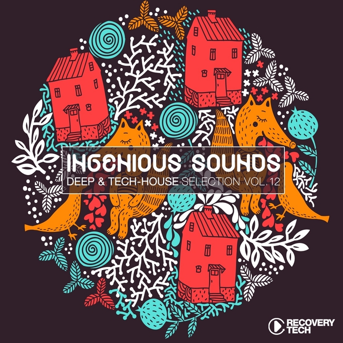 VARIOUS - Ingenious Sounds Vol 12
