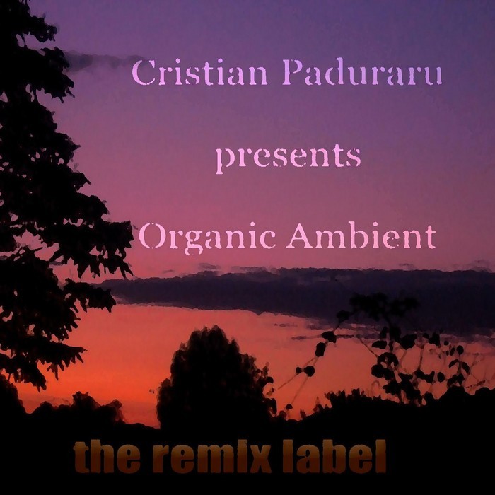 PADURARU, Cristian - Organic Ambient - Progressive Chillout Music Album For Christmas Season