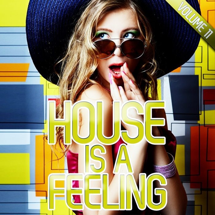 VARIOUS - House Is A Feeling Vol 11