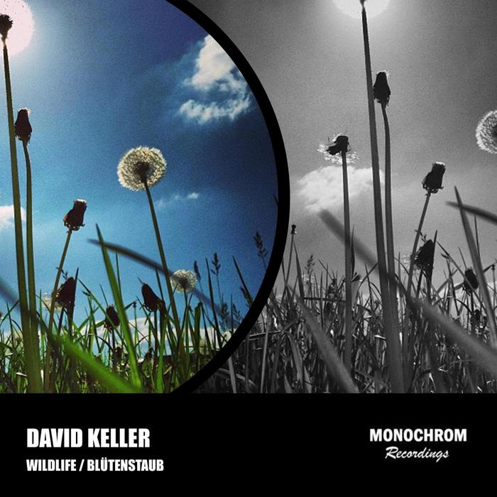 KELLER, David - Wildlife/Blutenstaub