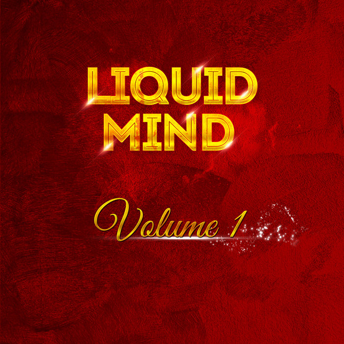 VARIOUS - Liquid Mind Vol 1
