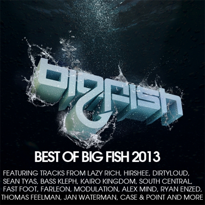 VARIOUS - Best Of Big Fish 2013