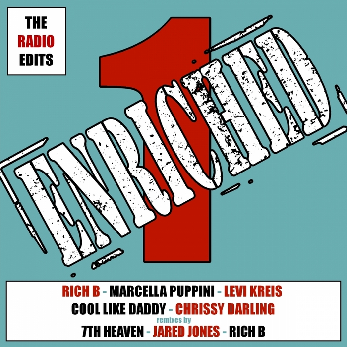 VARIOUS - Enriched One: The Radio Edits Album