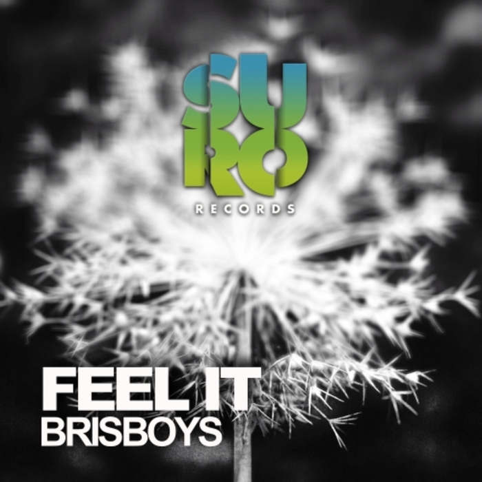 BRISBOYS - Feel It
