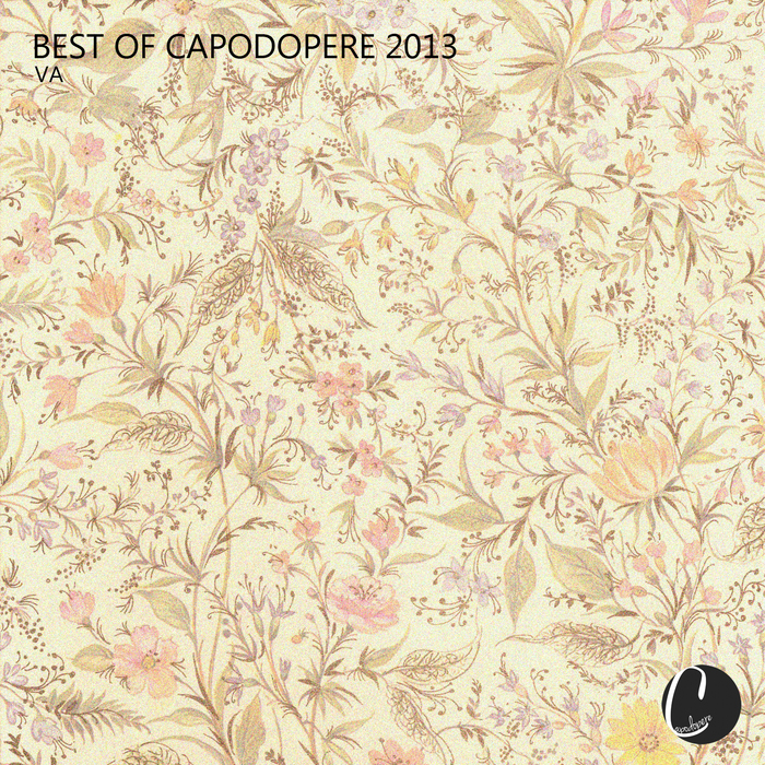 VARIOUS - Best Of Capodopere 2013