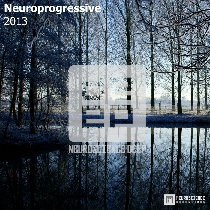 VARIOUS - Neuroprogressive 2013