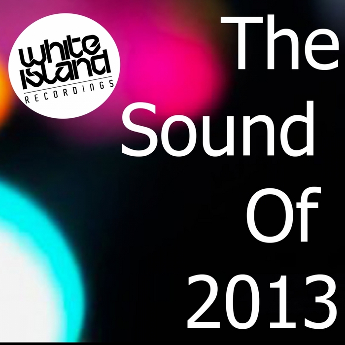 VARIOUS - The Sound Of 2013
