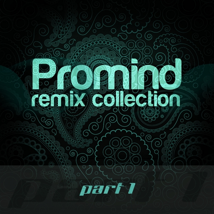 VARIOUS - Promind - Remix Collection Part 1