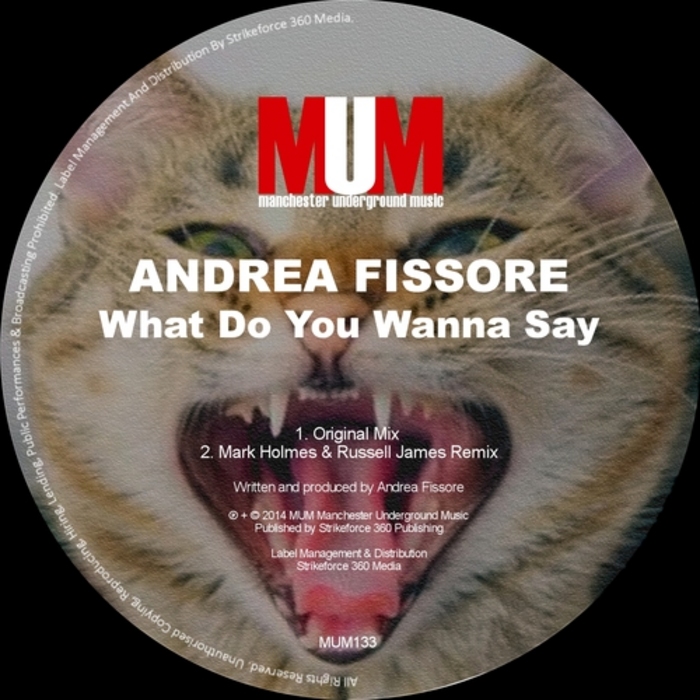 FISSORE, Andrea - What Do You Wanna Say