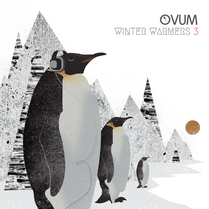 VARIOUS - Winter Warmers Vol 3