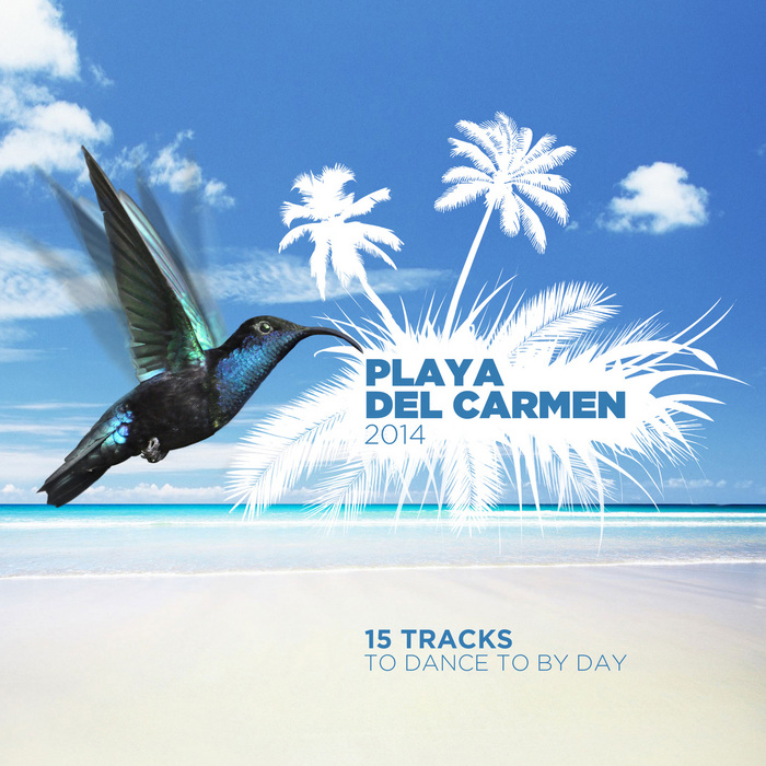 DAY/VARIOUS - Playa Del Carmen (unmixed tracks)