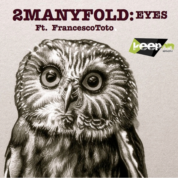 2MANYFOLD/FRANCESCO TOTO - Eyes