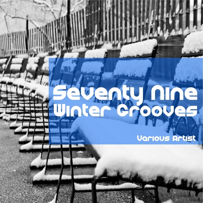 VARIOUS - Seventy Nine Winter Grooves