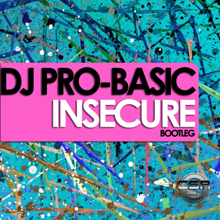DJ PRO BASIC - Insecure