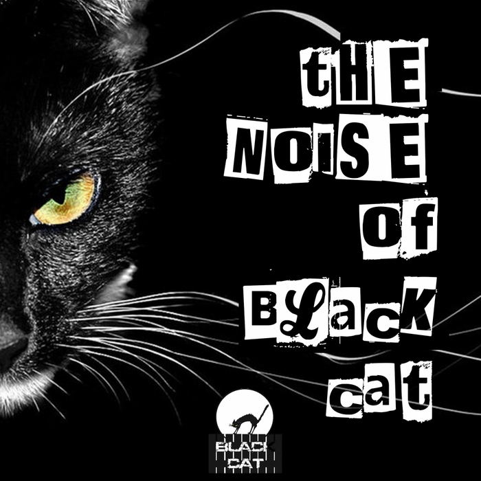 VARIOUS - The Noise Of Black Cat