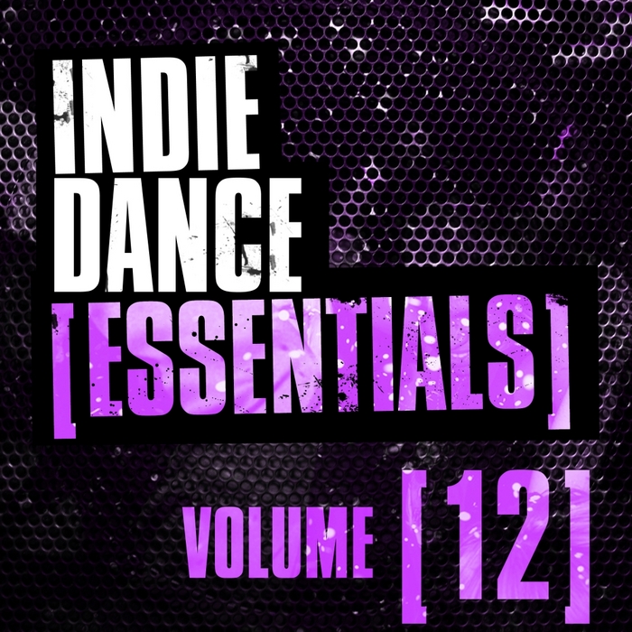 VARIOUS - Indie Dance Essentials Vol 12
