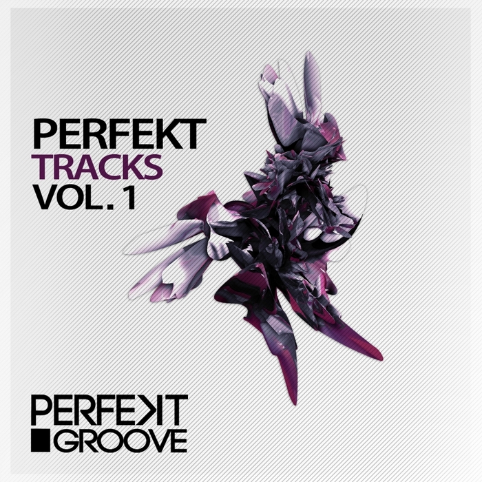 VARIOUS - Perfekt Tracks Volume 1
