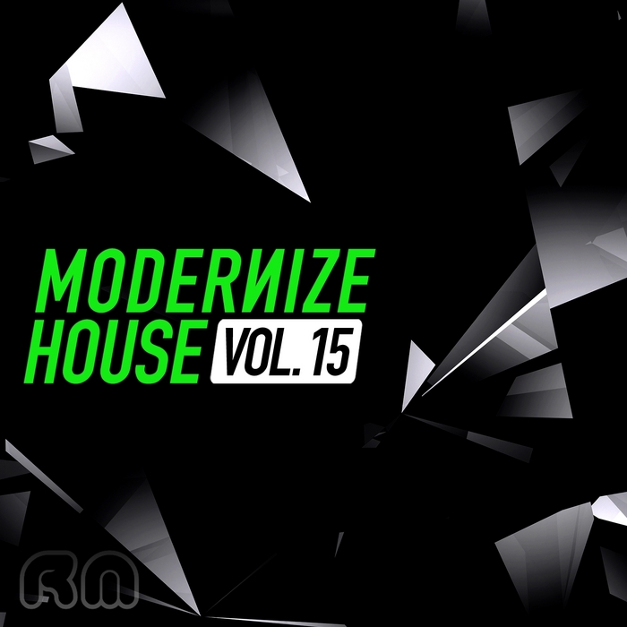 VARIOUS - Modernize House, Vol  15