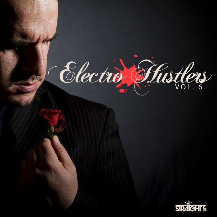 VARIOUS - Electro Hustlers Vol 6