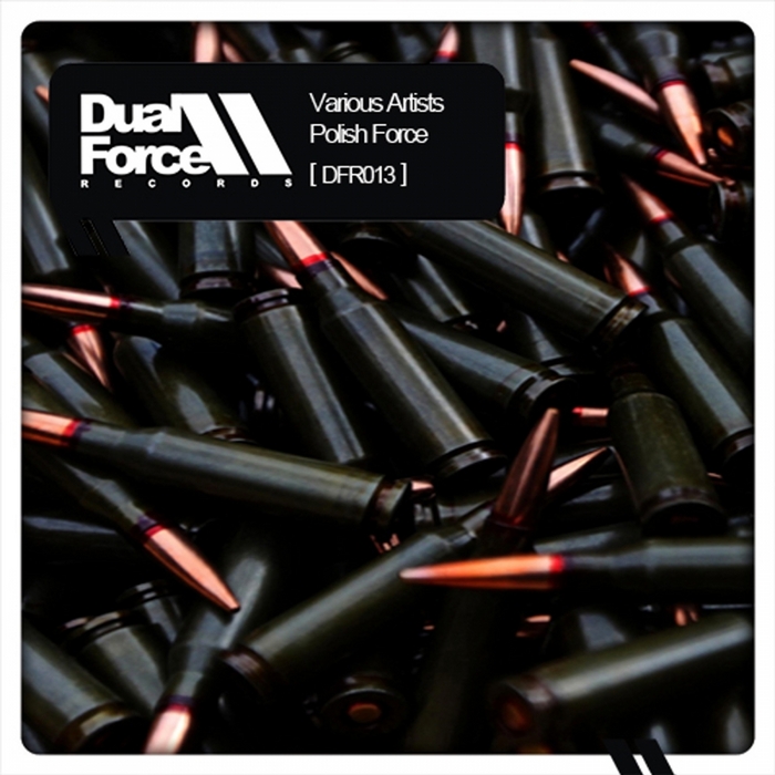 VARIOUS - Polish Force