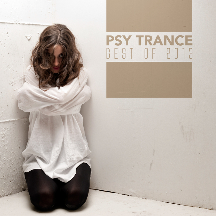 VARIOUS - Psy Trance Best Of 2013