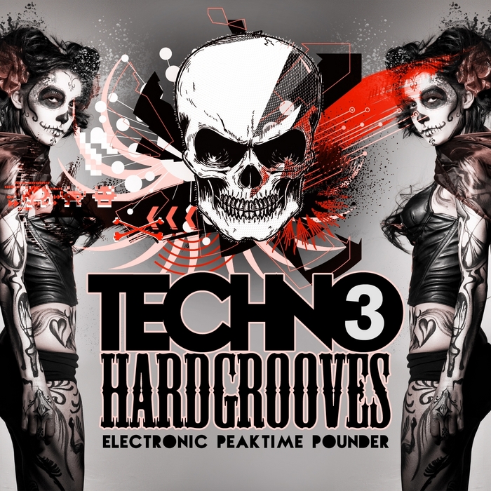 VARIOUS - Techno HardGrooves Vol 3 (Electronic Peaktime Pounder)