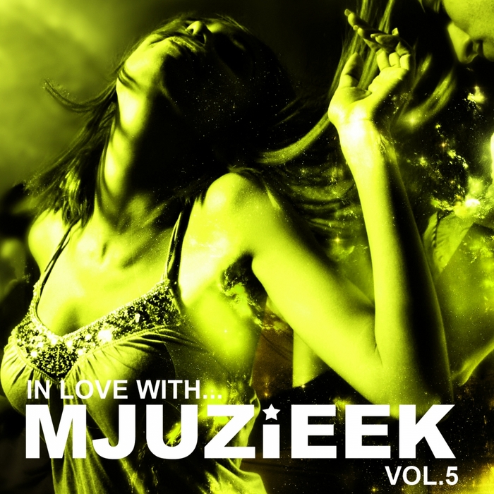 VARIOUS - In Love With Mjuzieek Vol 5