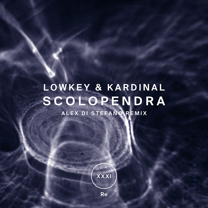 LOWKEY/KARDINAL - Scolopendra