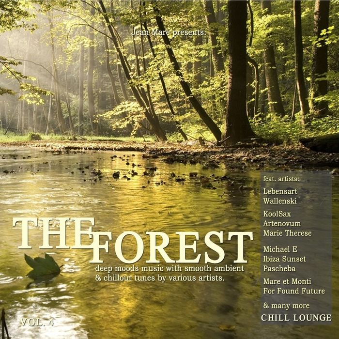 VARIOUS - The Forest Chill Lounge, Vol  4 (Deep Moods Music With Smooth Ambient & Chillout Tunes)