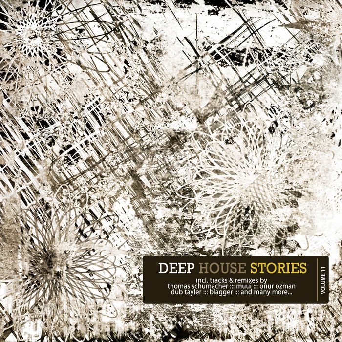 VARIOUS - Deep House Stories Vol 11