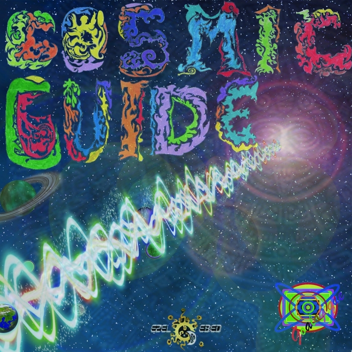 VARIOUS - Cosmic Guide