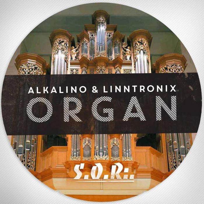 ALKALINO/LINNTRONIX - Organ