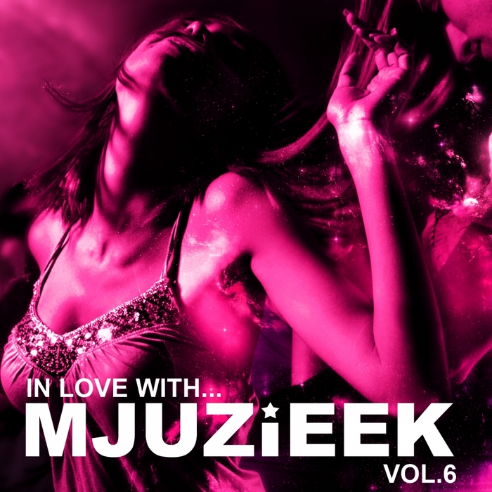 VARIOUS - In Love With Mjuzieek Vol 6