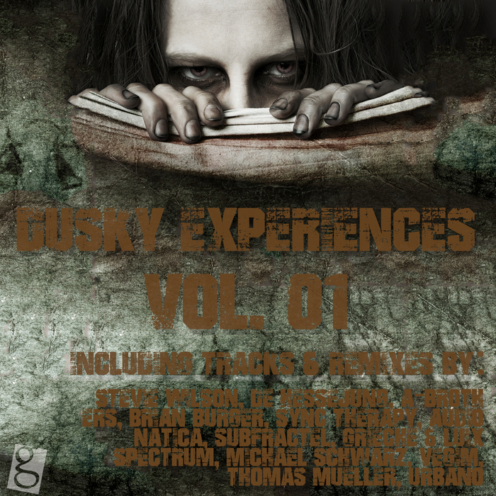 VARIOUS - Dusky Experiences Vol 01