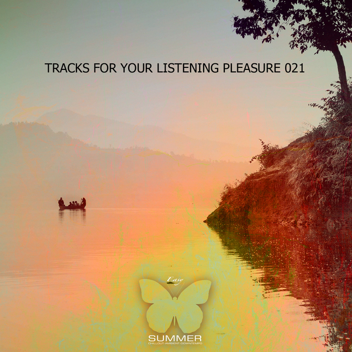 VARIOUS - Tracks For Your Listening Pleasure 021