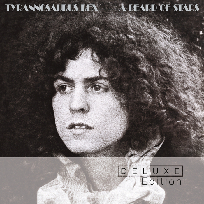 A Beard Of Stars (Deluxe Edition) by Tyrannosaurus Rex on MP3, WAV ...