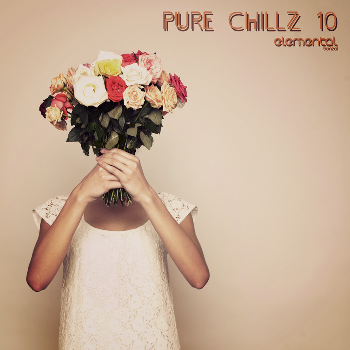 VARIOUS - Pure Chillz 10
