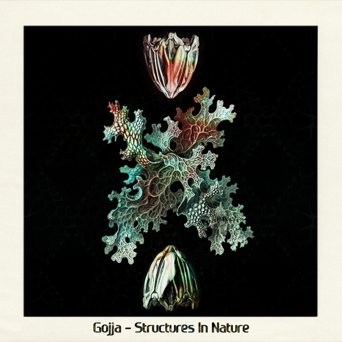 GOJJA - Structures In Nature