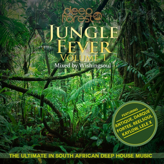 Wishingsoul/Various Jungle Fever Vol 1 at Juno Download