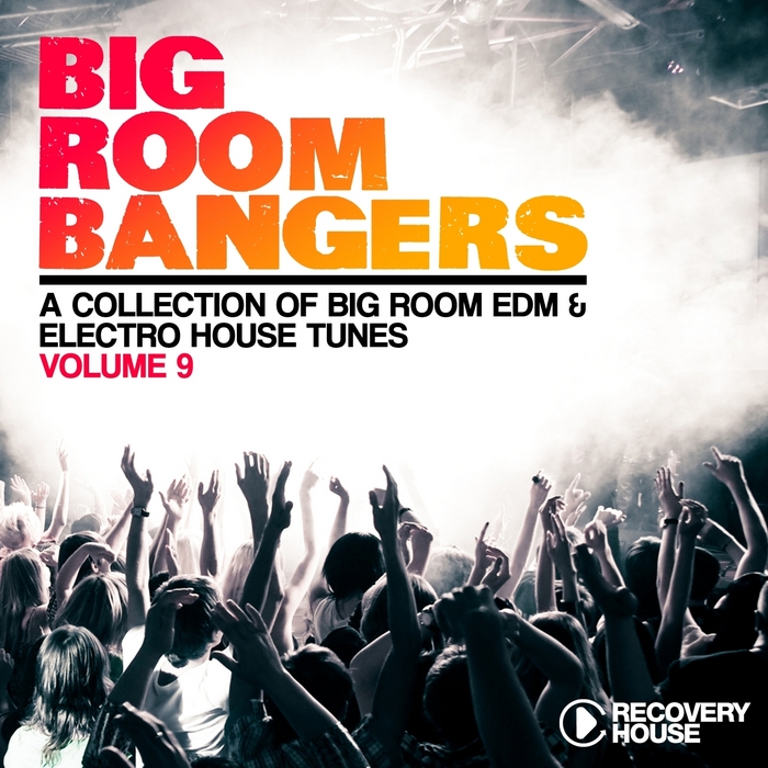VARIOUS - Big Room Bangers Vol 9 (A Collection Of Big Room EDM & Electro House Tunes)
