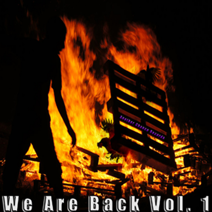 VARIOUS - We Are Back Vol 1