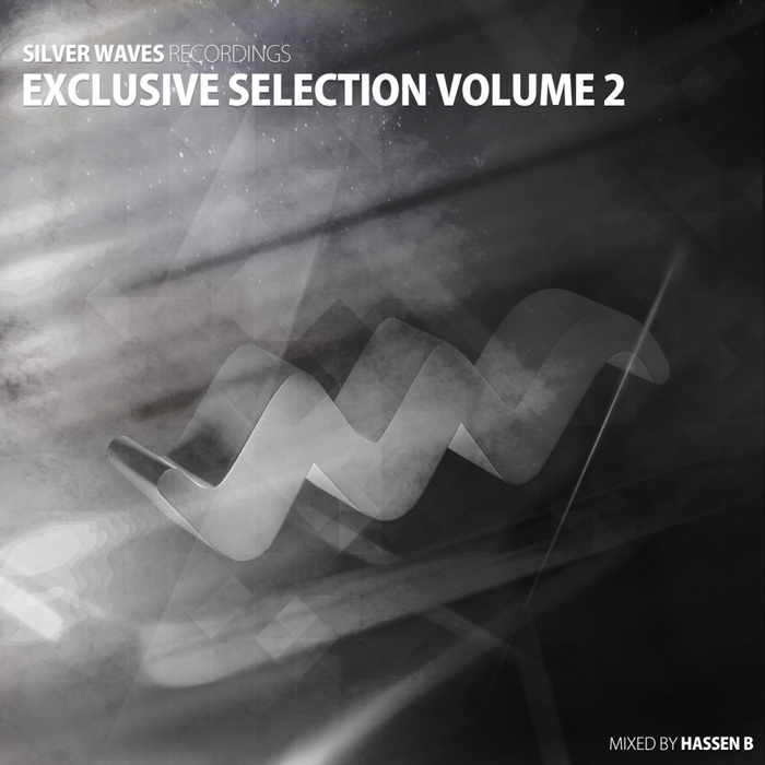 VARIOUS - Silver Waves Exclusive Selection Vol 2