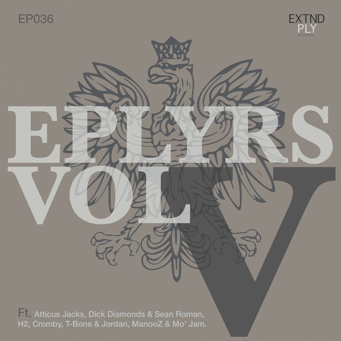 VARIOUS - Extended Players Vol 5