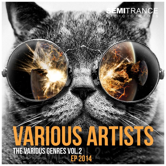 VARIOUS - The Various Genres Vol 2 - EP 2014