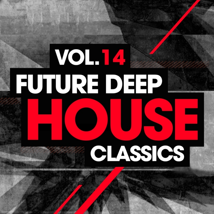 VARIOUS - Future Deep House Classics Vol 14