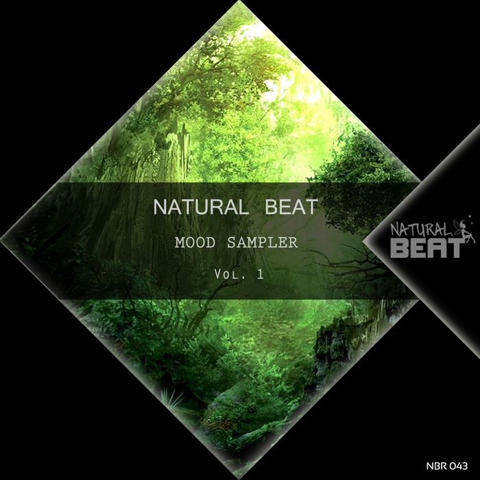 VARIOUS - Natural Beat Mood Sampler Vol 1