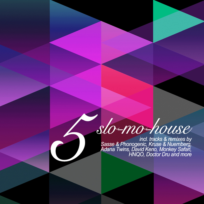 VARIOUS - Slo Mo House Vol 5
