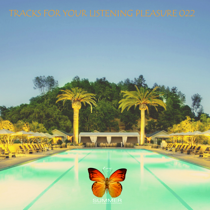 VARIOUS - Tracks For Your Listening Pleasure 022