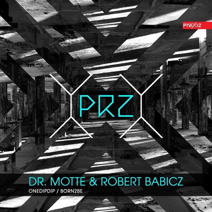 DR MOTTE/ROBERT BABICZ - OneDipDip